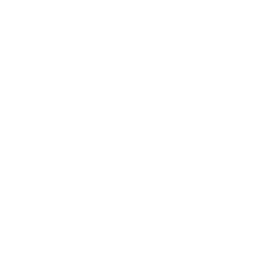 Saloon Car