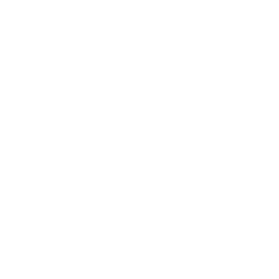 Ride